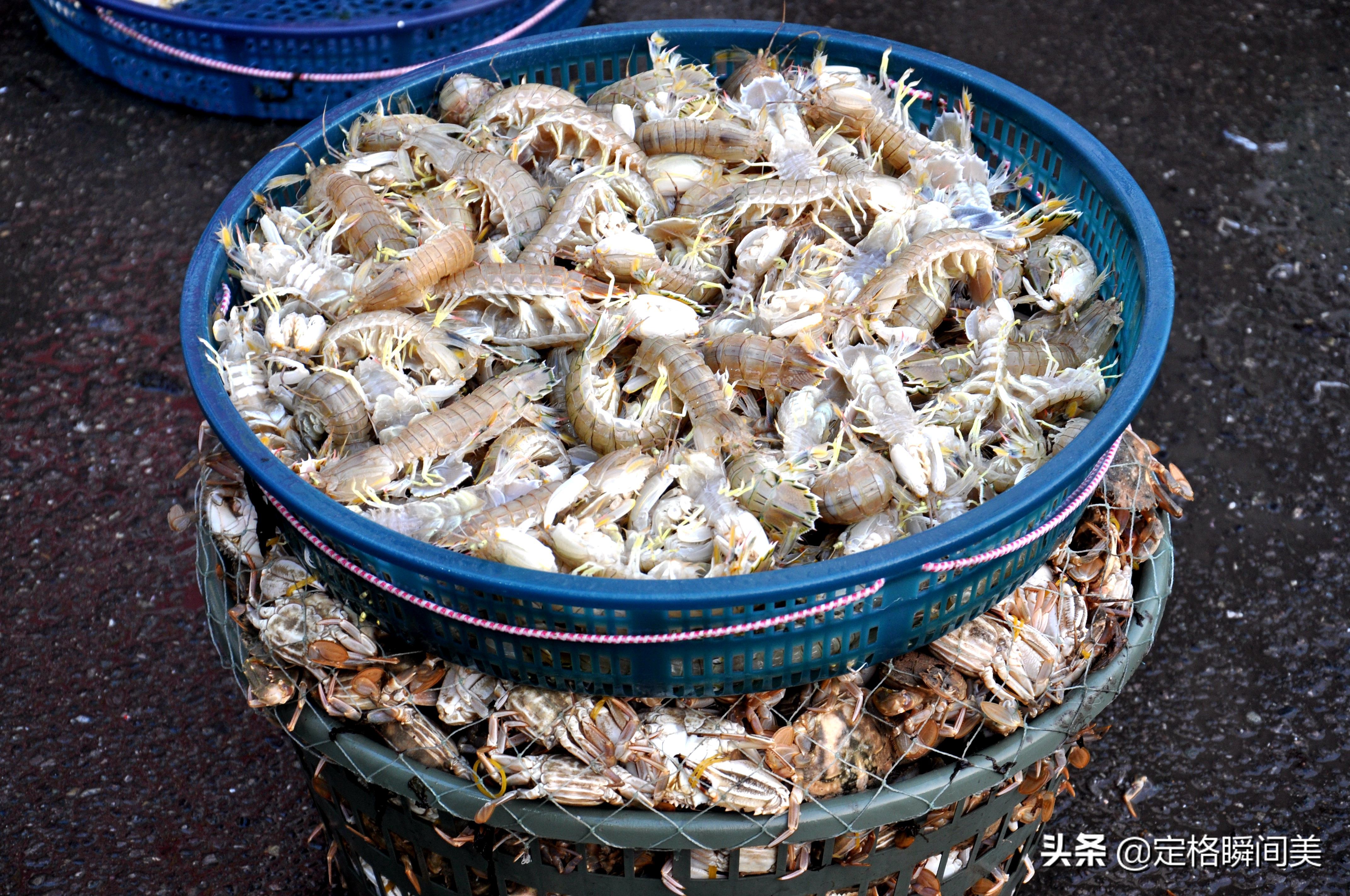 青岛批发市场海虾,青岛早市海虾