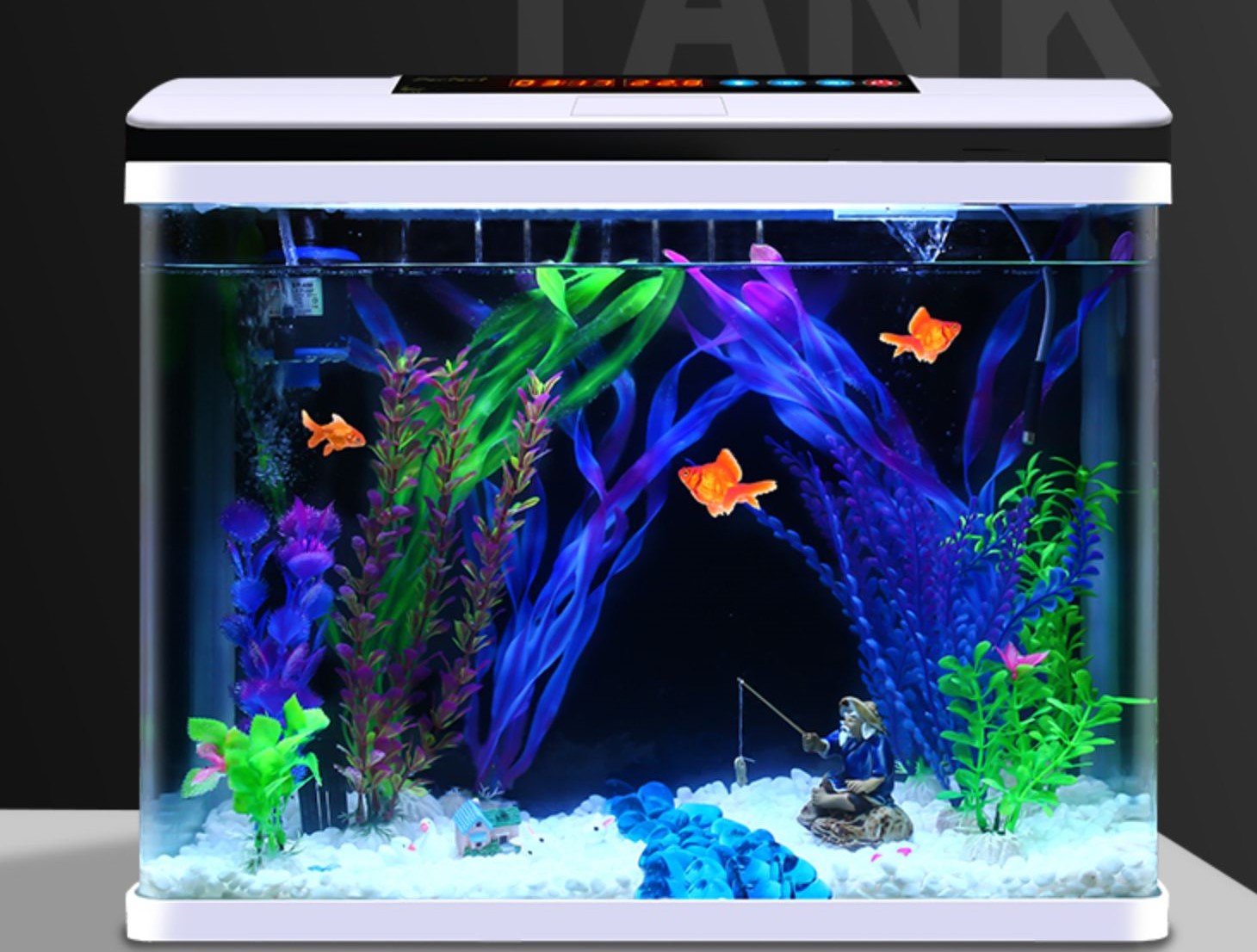 桌面鱼缸新手入门,新手鱼缸入门教程视频