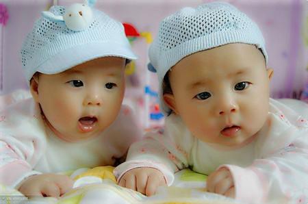 一对双胞胎兄弟每天喝豆浆,双胞胎姐妹喝豆浆和喝牛奶的区别