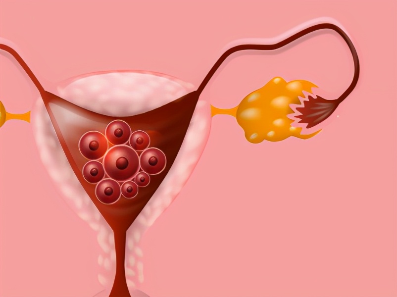 长期备孕失败应该检查什么,备孕困难如何熬过