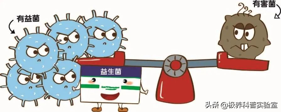 婴幼儿益生菌口碑最好的前十名,益生菌婴幼儿排行榜