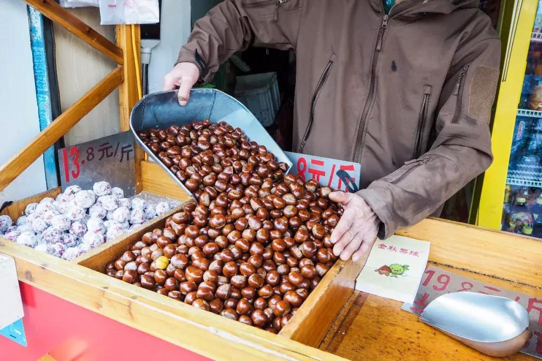 女排11连胜新闻联播,南师大排球比赛直播回放