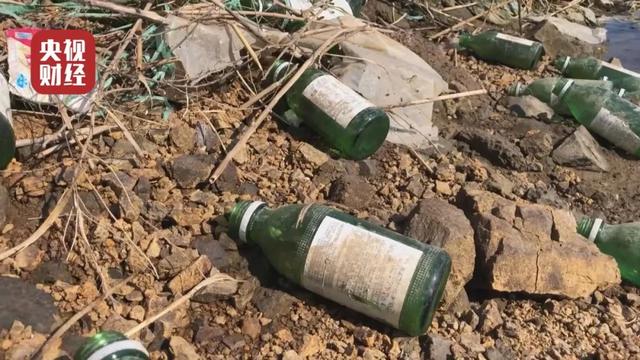 315海参曝光后海参还能吃吗,315曝光海参的功效与作用