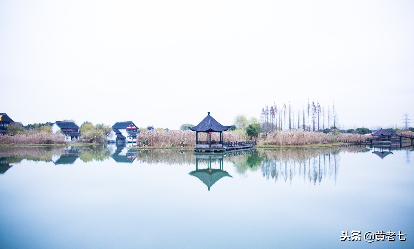 几十年前轰动一时的沙家浜,上海15年前的沙家浜