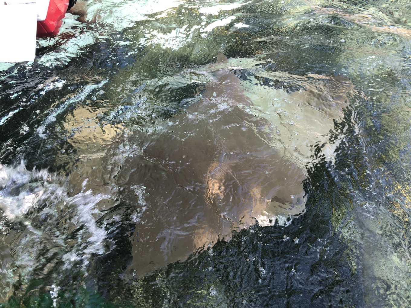 圣淘沙名胜世界攻略,请收下这份旅游攻略