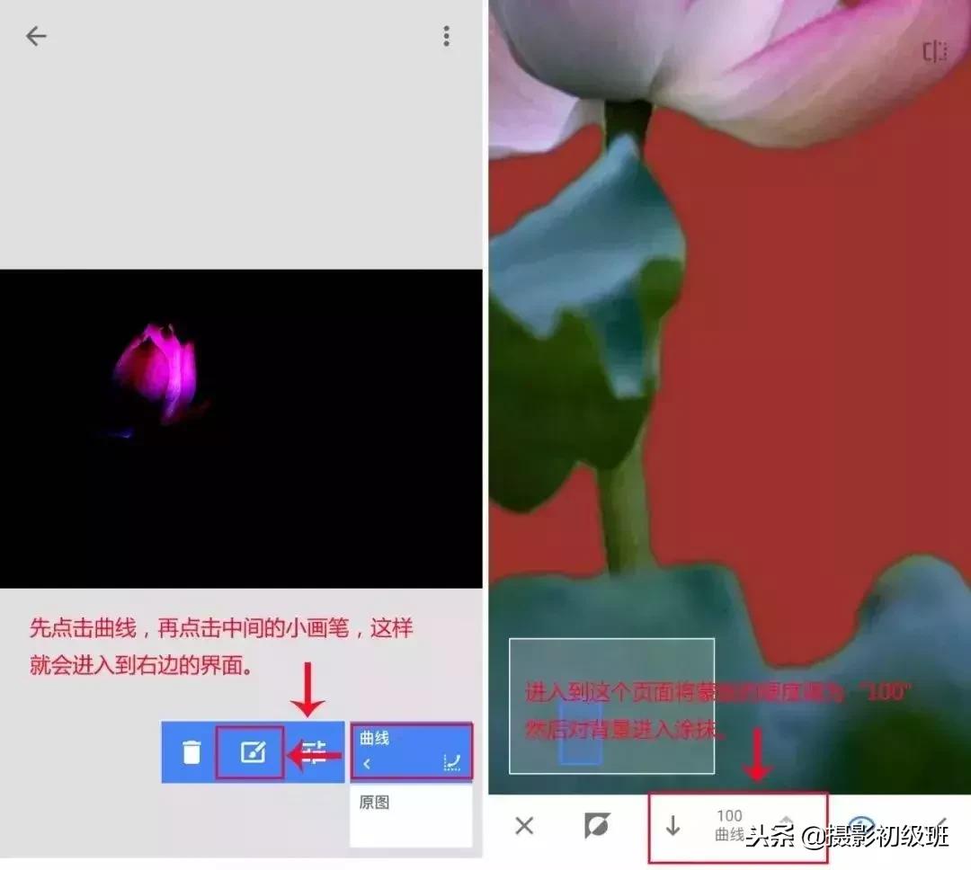 摄影基础知识：如何拍出纯黑色背景照