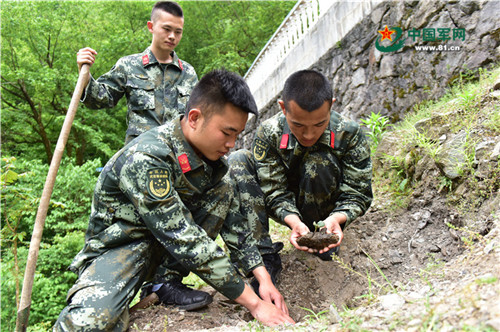 手机信号为什么可以无处不在,手机信号无服务无法连接网络