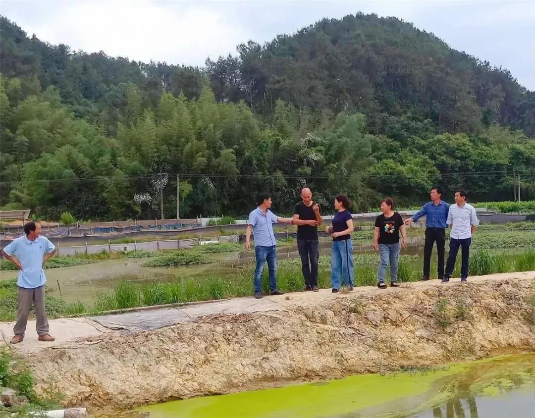 看！这是临安“雪山大米”的故事