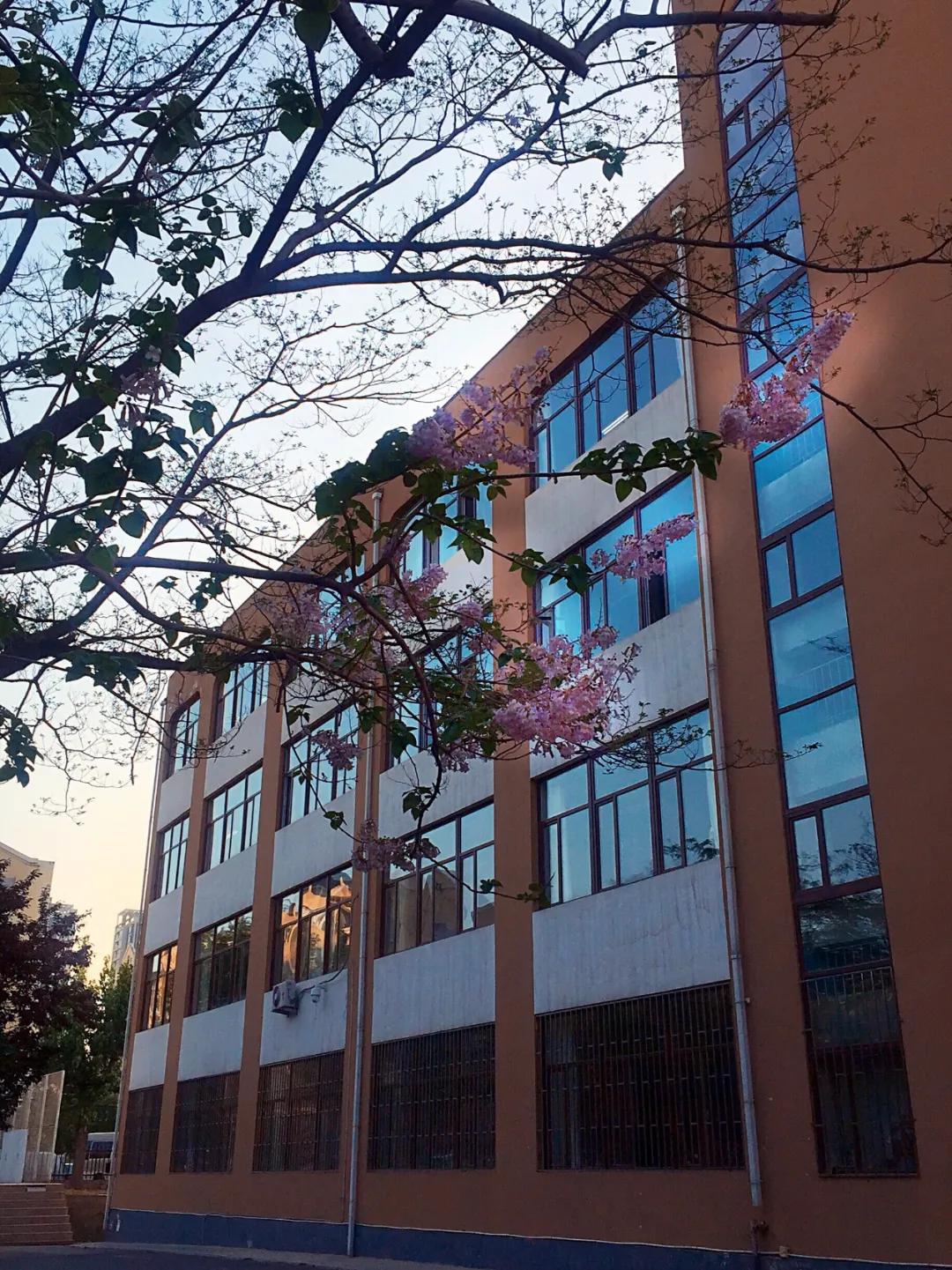 大连五中vs金州高级中学,大连五中高中