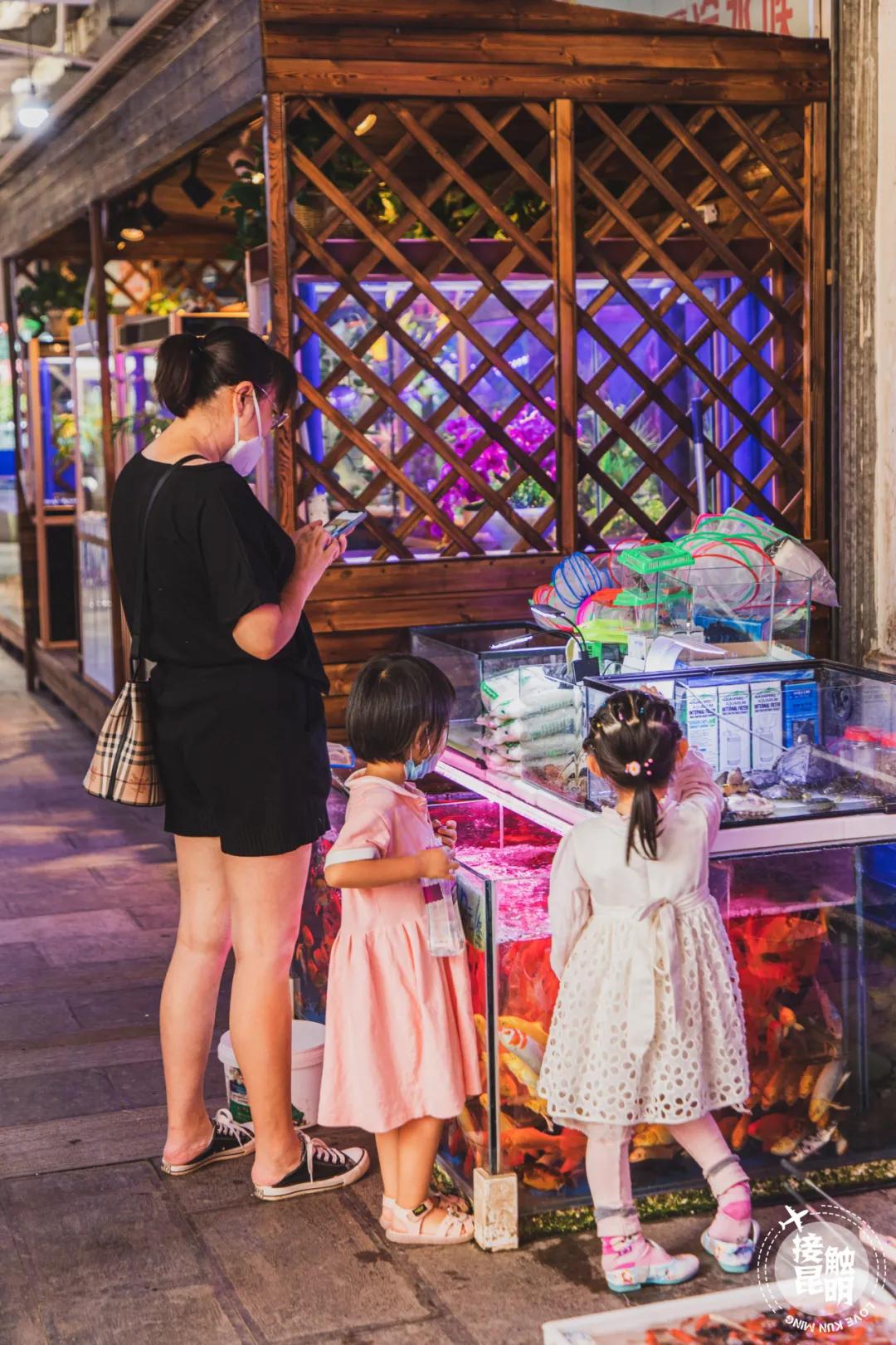 逛逛园博花鸟市场,园博花鸟市场攻略