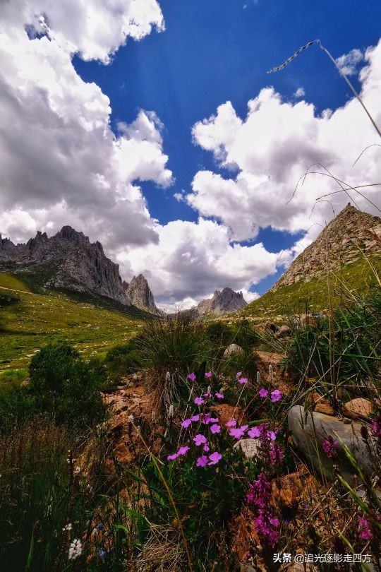 西安甘南七日自驾游最全攻略,甘南莲宝叶则风景区海拔