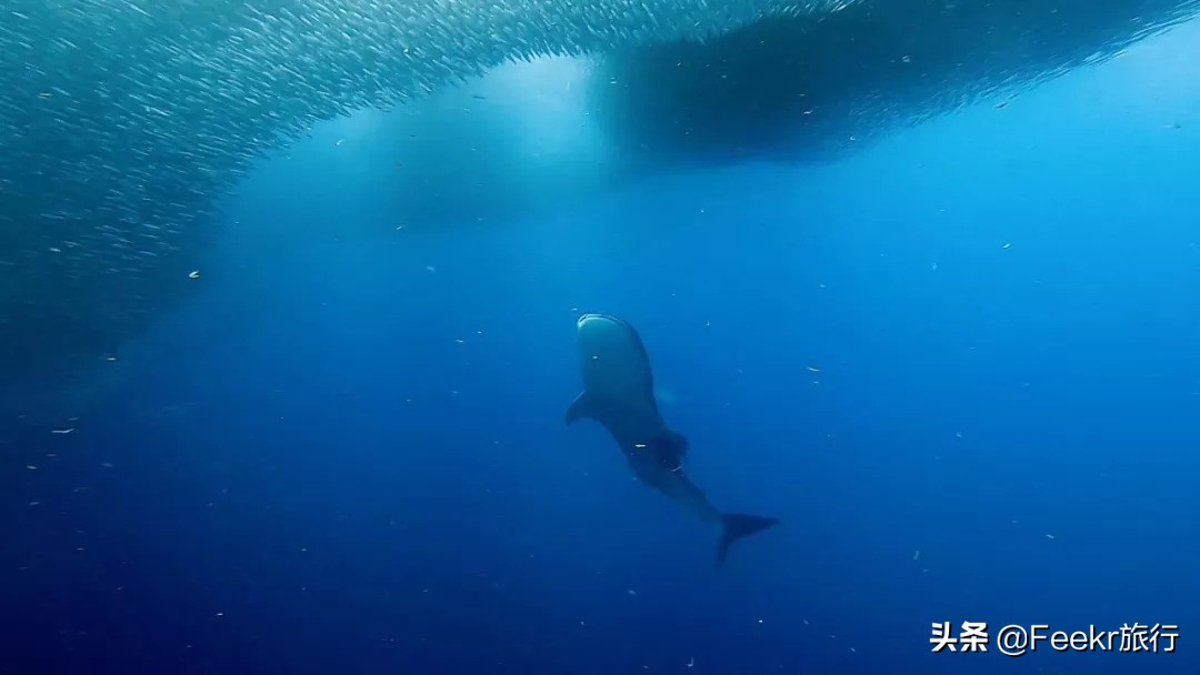 最不想分享的小众海岛,小众海岛旅行