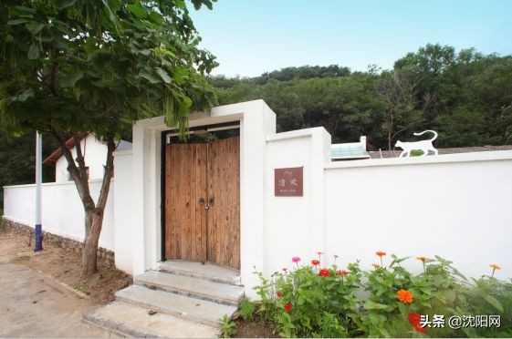 沈阳附近民宿小院,沈阳农村民宿独门独院价格