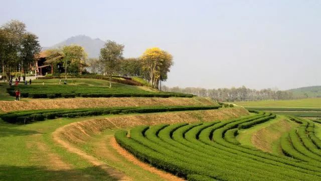 泰国特价签证,申请泰国旅行签证90天需要多少钱