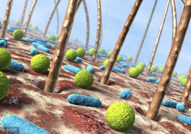 后背毛糙还长痘,后背长痘毛囊炎怎么办