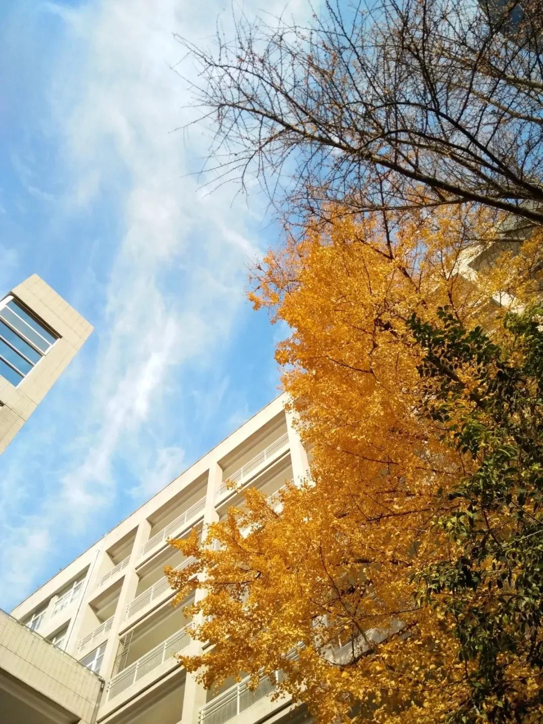 江苏南京外国语学校,南京外国语学校高二五班