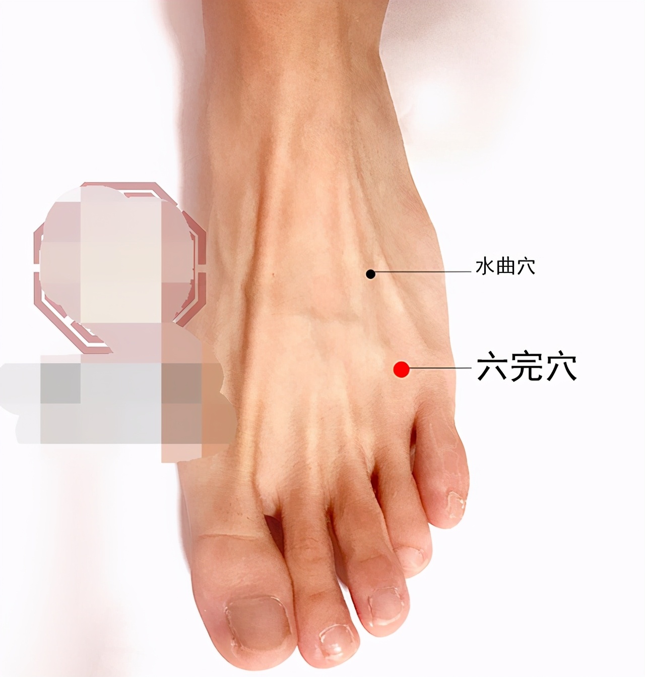 耳朵经常嗡嗡响可以中医针灸吗,耳朵乳突炎能针灸治疗治愈吗