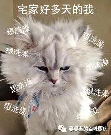 疫情后东北的发展,疫情后的东北现状