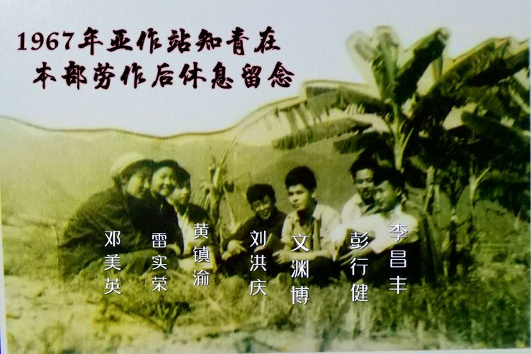 知青情结图片素材,60年代的知青情结