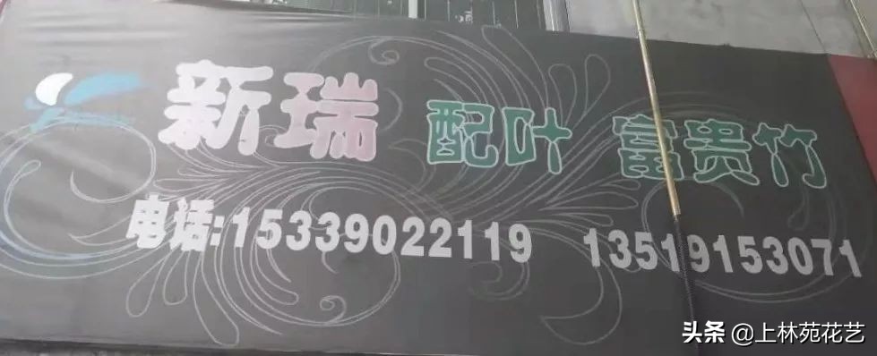 西安新年鲜花批发,西安鲜花店批发进货渠道