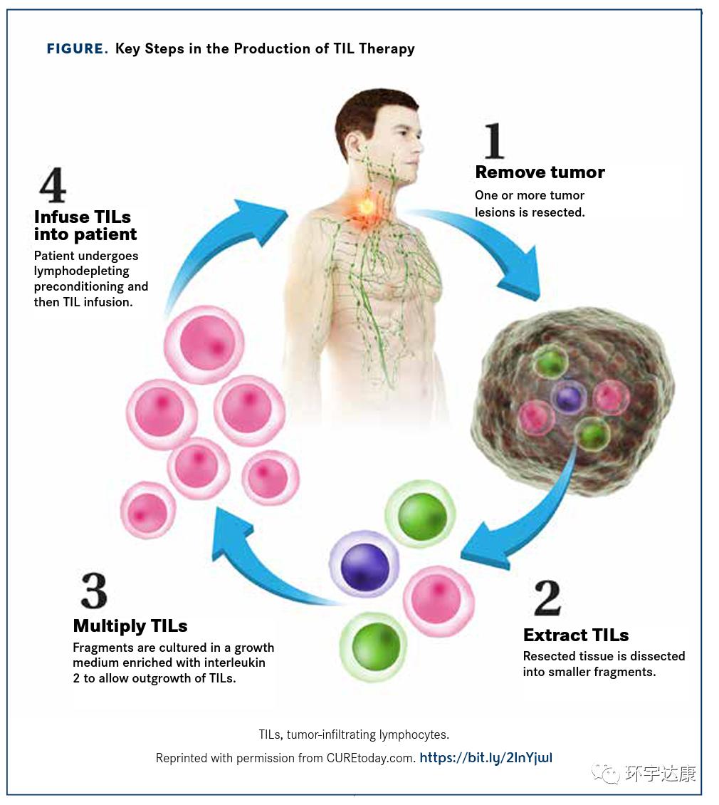 利剑出鞘!三大新型细胞免疫疗法向实体瘤“宣战”