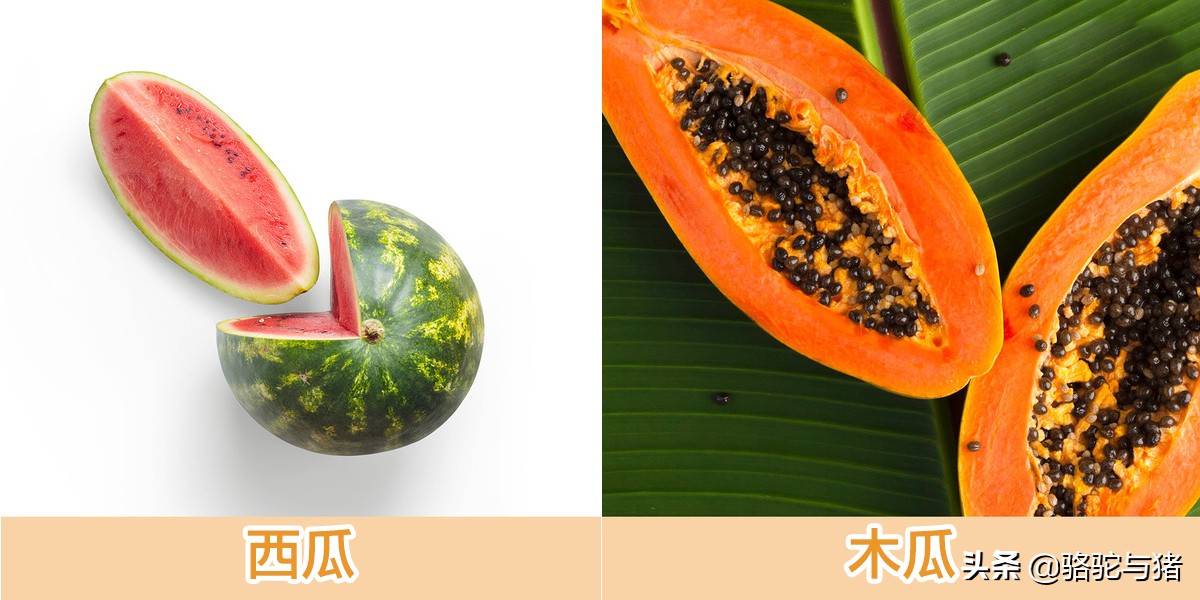 苹果果核里有氰化物,果核含氰