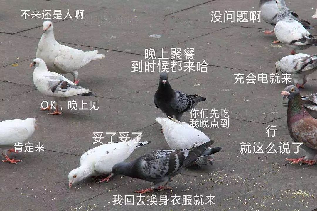 电音群,电音组合成员排行榜