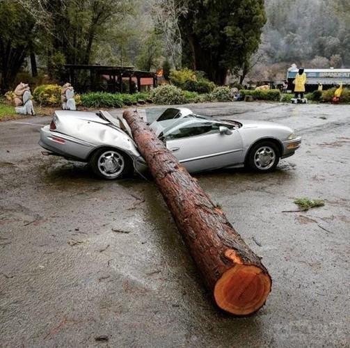 赌100袋辣条,赌十包辣条