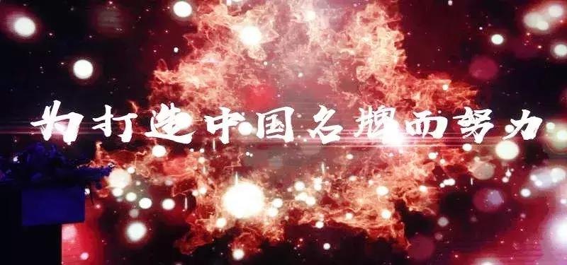 中国行业名牌培育鼎武医疗榜上有名