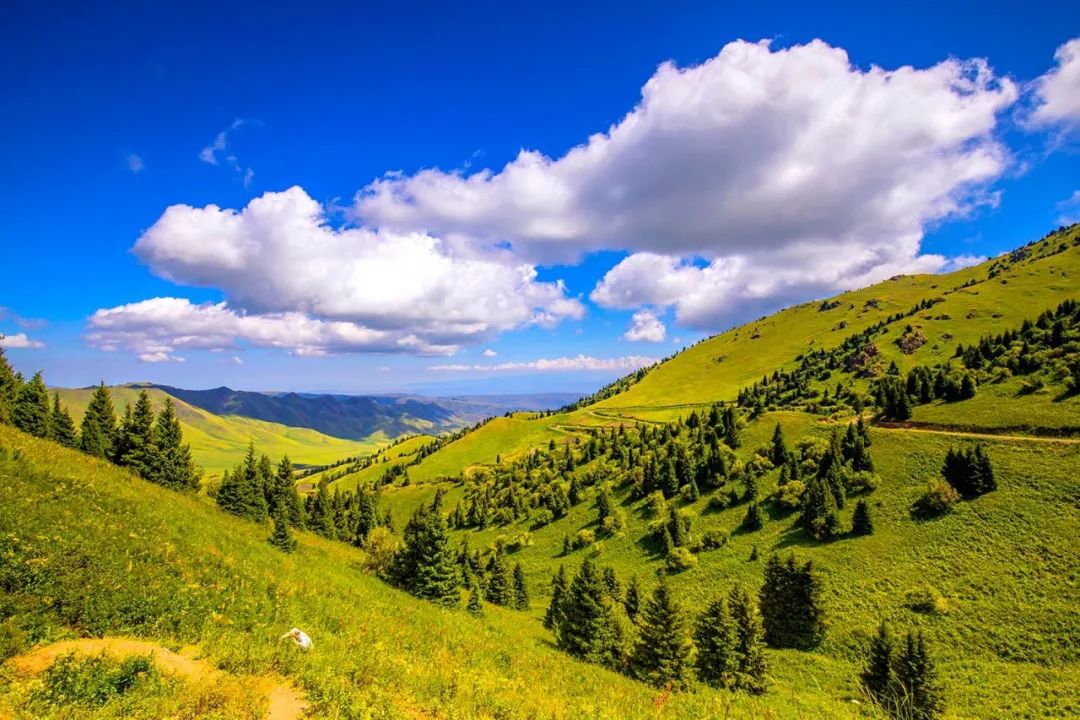 98年收回3万公顷领土,如今成我国最后一片净土,至今不许外人进