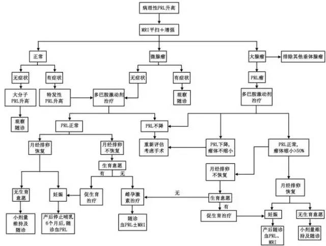 女人高泌乳素血症啥症状,女性高泌乳素血症诊治共识