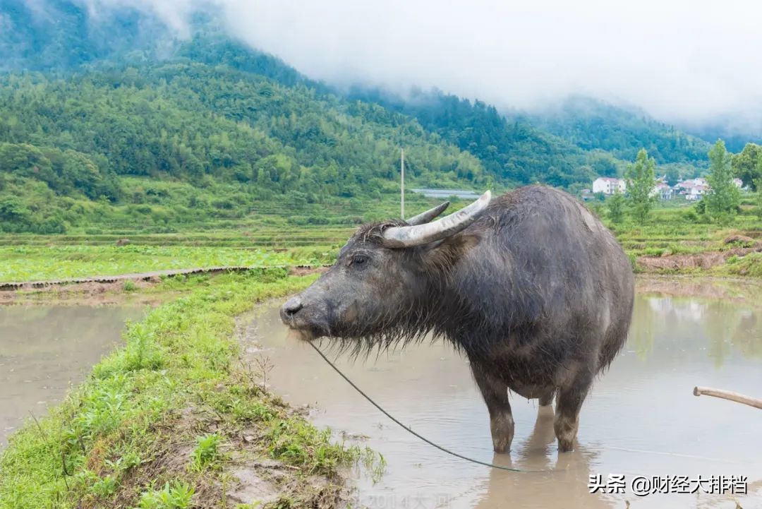 上班族短线炒股方法,上班族炒股用什么模式
