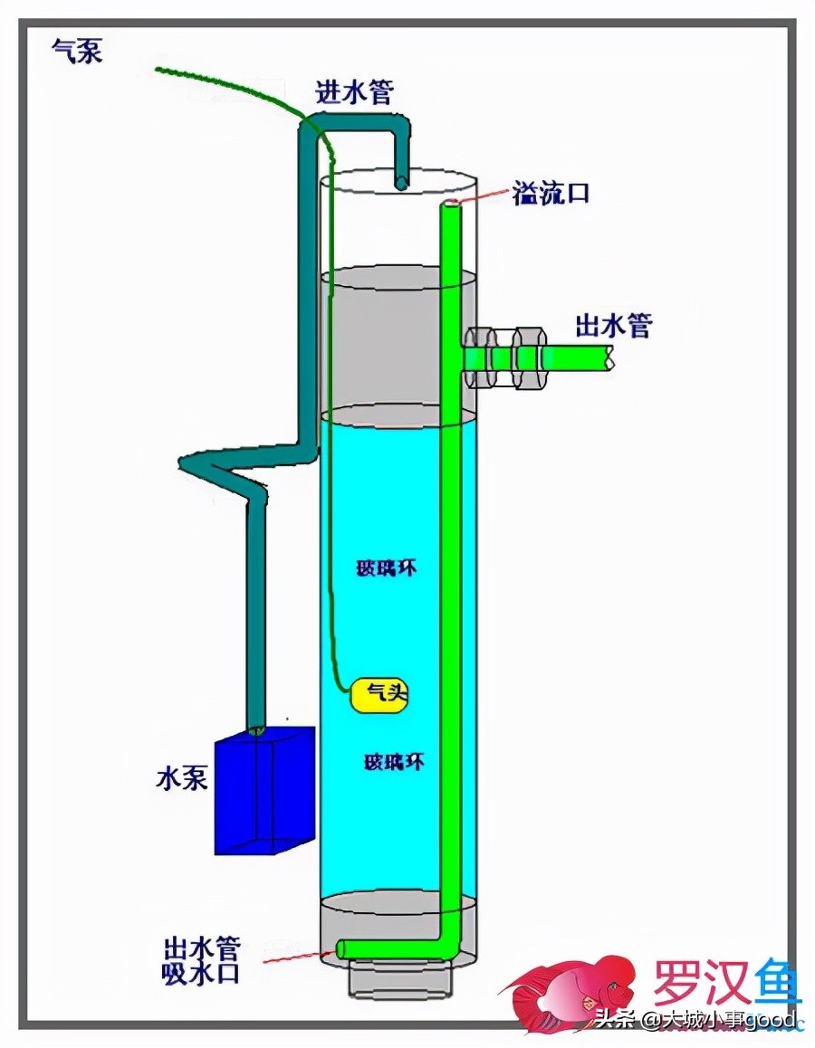 鱼缸过滤系统的基础解析,鱼缸过滤桶过滤原理