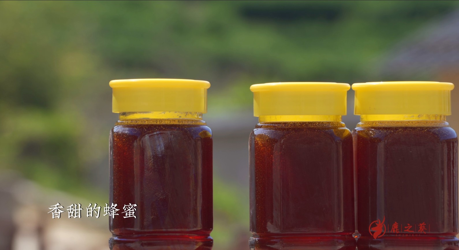 老贵阳烤鸡方法与技巧,炭火烤鸡用什么配料最好吃