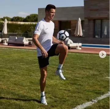 老佛爷的遗产真的由猫继承,老佛爷的所有家产最后留给了猫