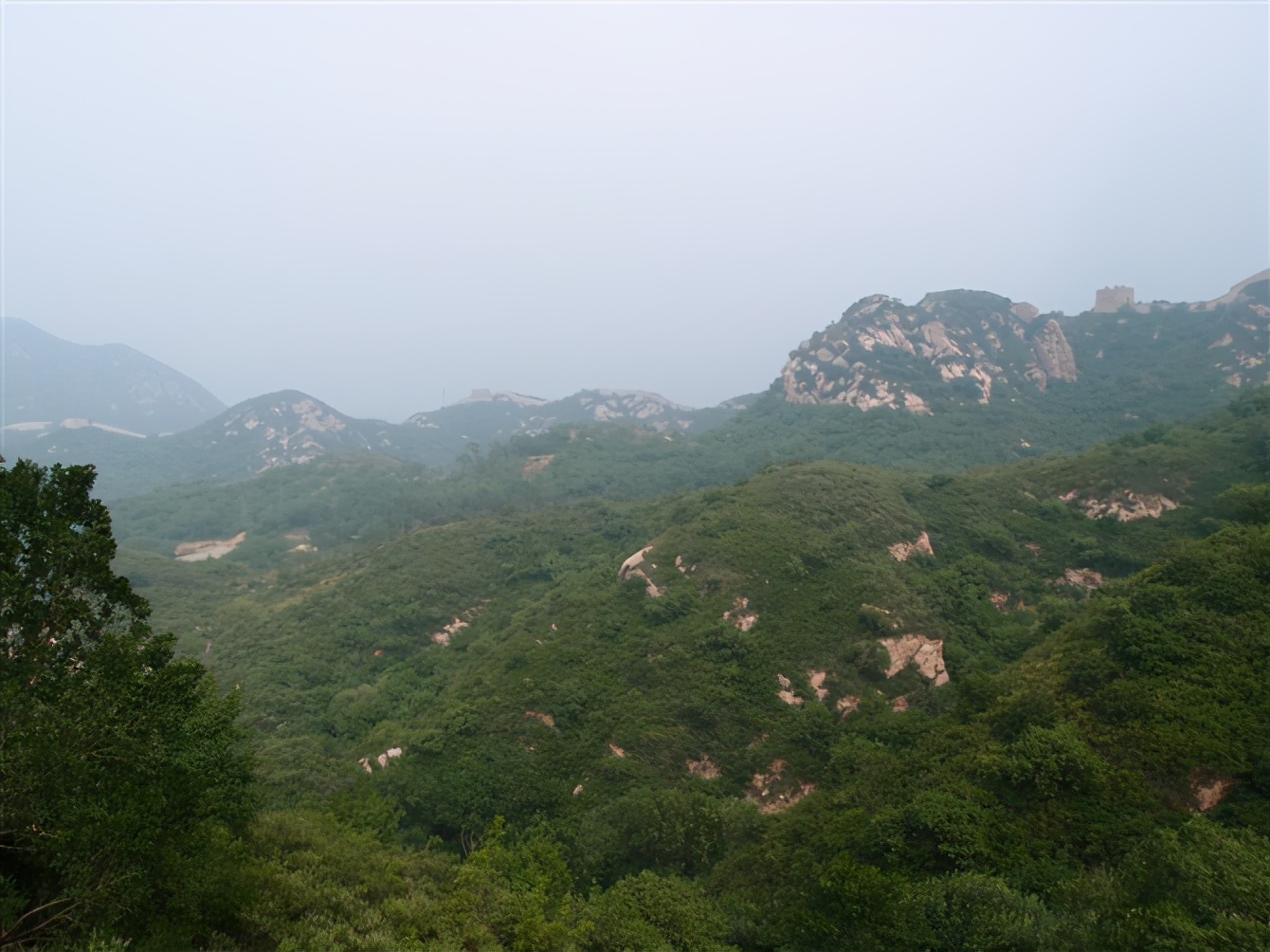 八达岭动物园观看老虎,八达岭动物园游玩