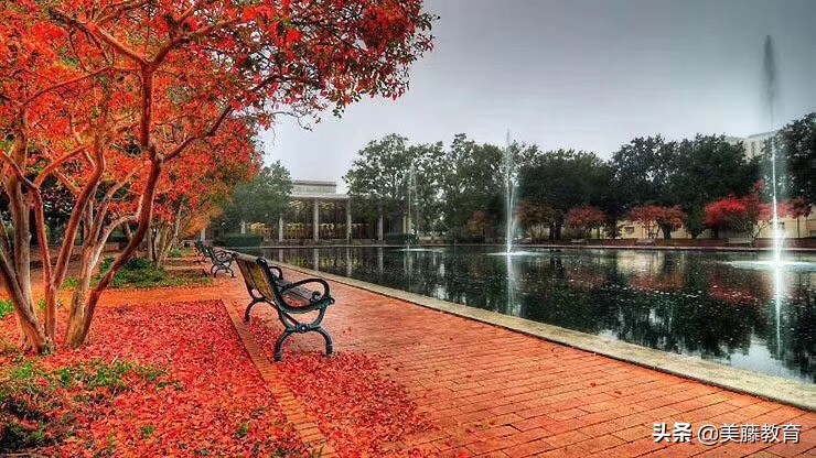 奥斯汀大学分校,德克萨斯大学奥斯汀分校全球排名