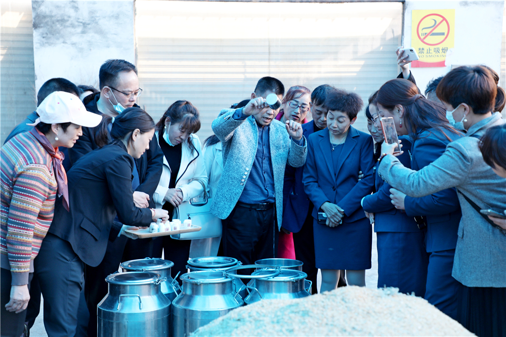 栽下梧桐树引进金凤凰,栽棵梧桐树引来金凤凰