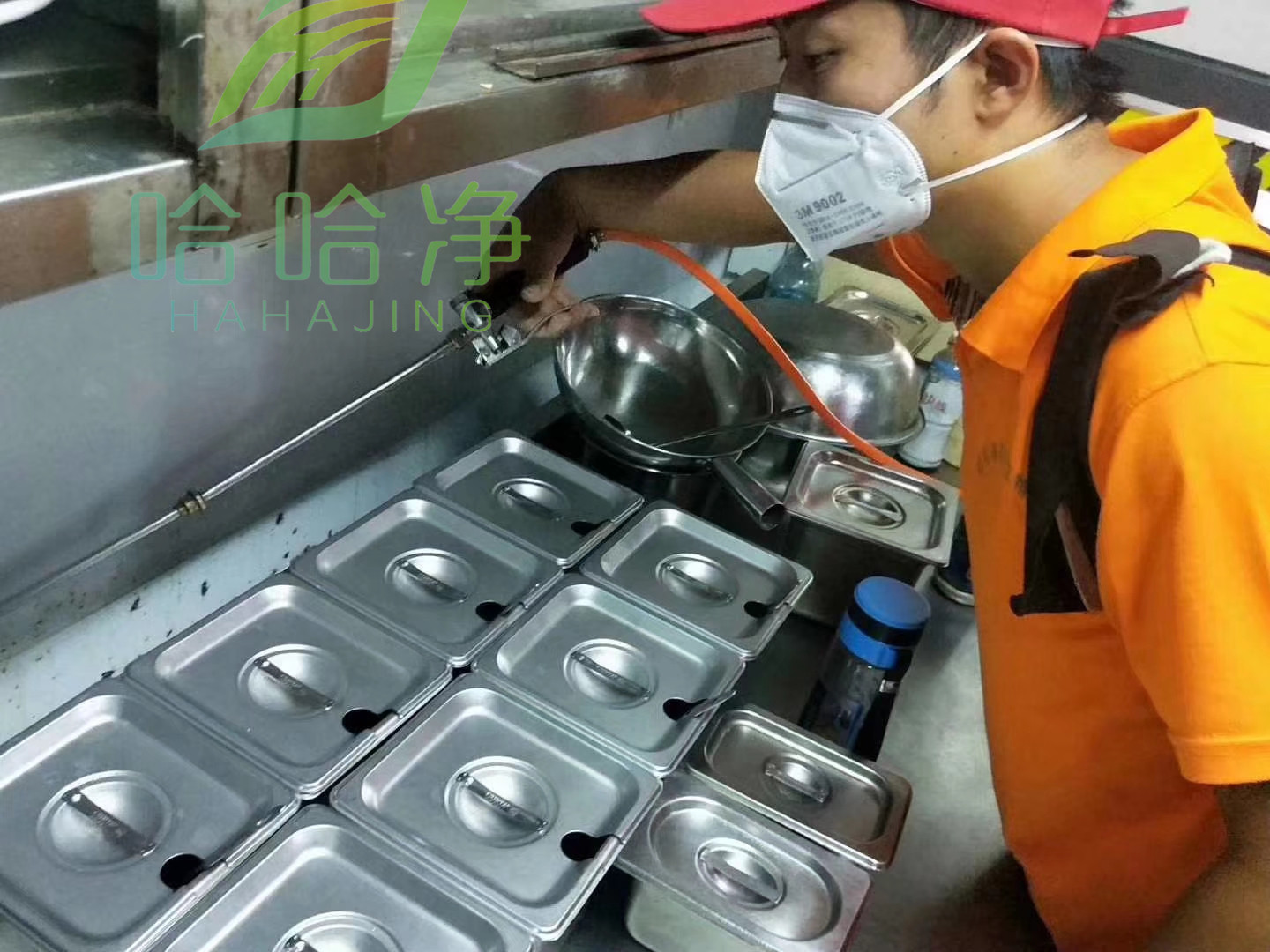 宝山区学校灭蟑螂,重庆街道灭蟑螂公司