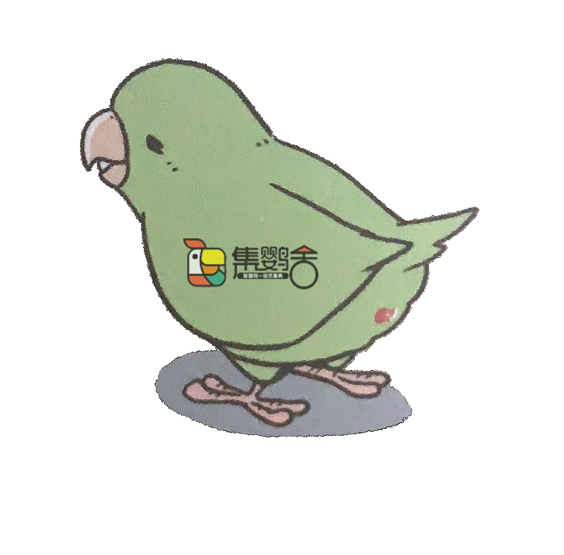 鹦鹉意外受伤,鹦鹉受伤怎么治疗