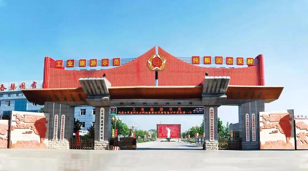 古贝春鲁品浓香型白酒42度,古贝春醉美鲁酒王53度