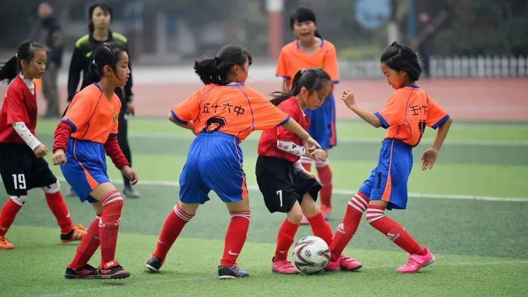 体育就业率低为什么很多人学,体育就业前景分析最新