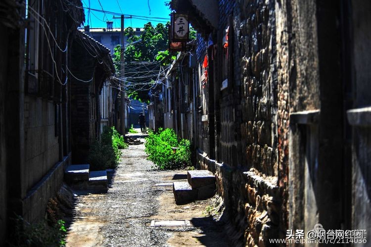 烟台所城里承载着多少回忆,烟台所城的来历