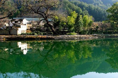 徐文长过桥受到了什么启发,徐文长徐渭