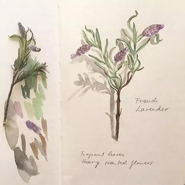 如何用手账本做一篇漂亮的手账,青春专属手帐