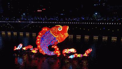 宣恩贡水柚直播间,宣恩贡水白柚苗