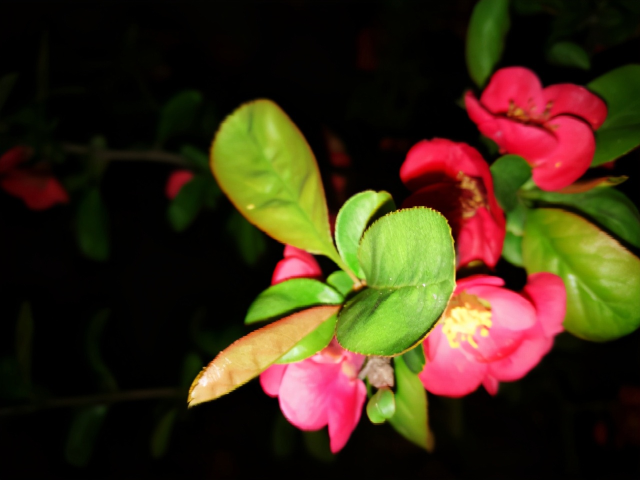 千人千面运营公司,千人千解值不值得投资