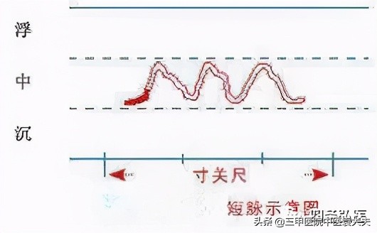 望闻问切完整版听书,望闻问切1至40集在线观看免费