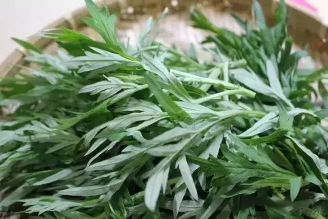 民间助睡眠的新鲜草药,可以让人快速入眠的中草药