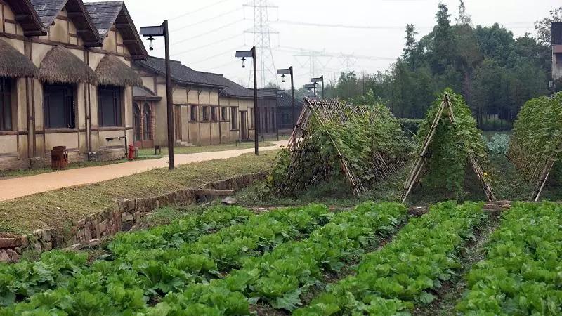 乌村田园度假,体验式度假式乡村旅游